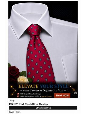 Christopher Hayes Red Blue Medallion Men's Silk Tie